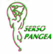 ONG SERSO Pangea